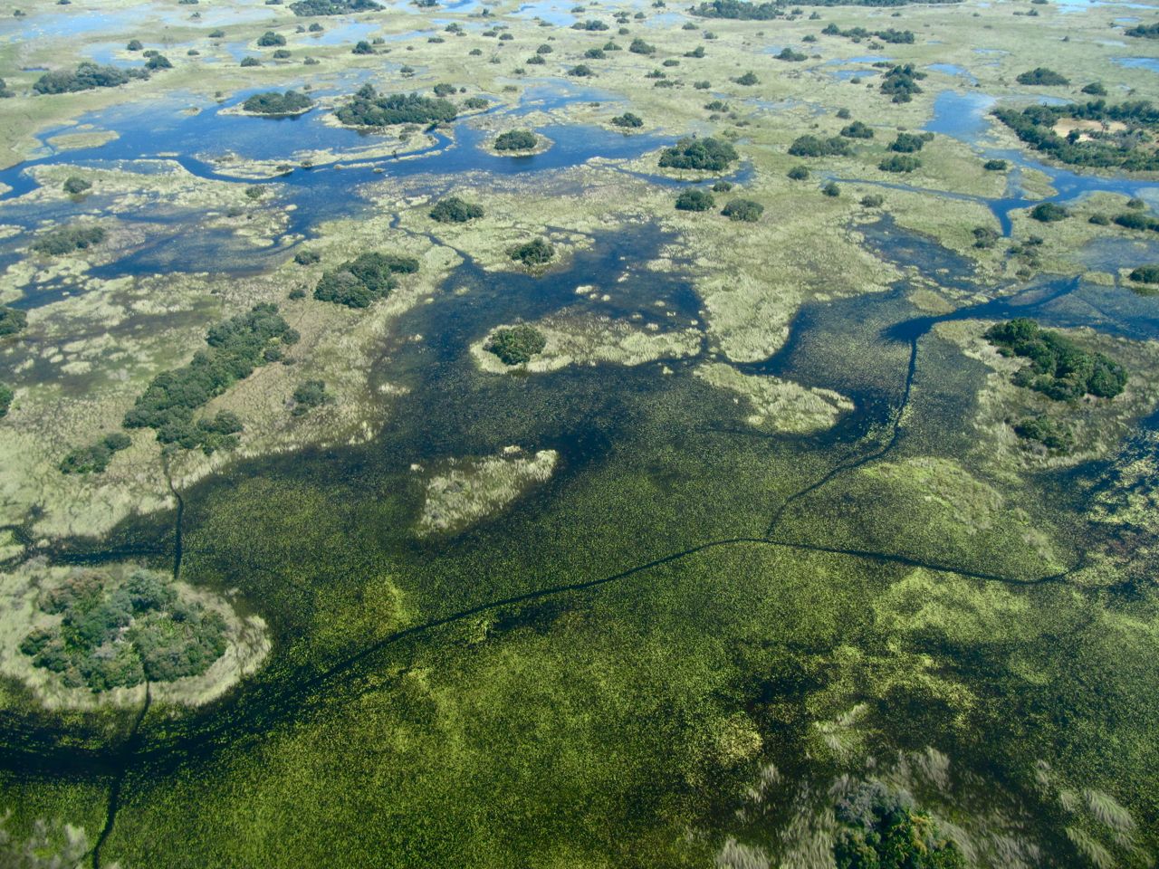 Flying over the Okavango Delta is thrilling