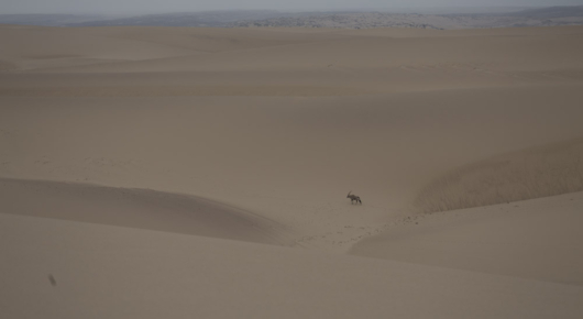 Namibia