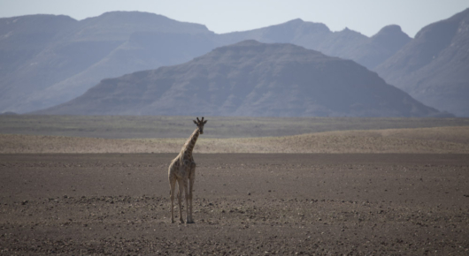 Namibia