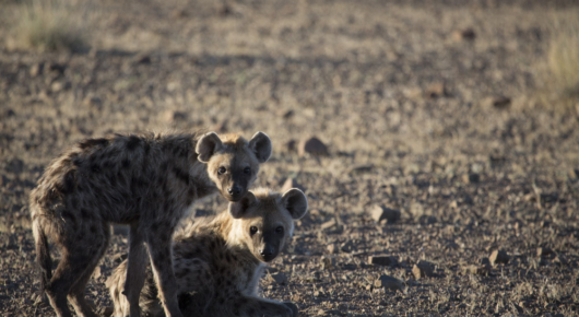 Namibia