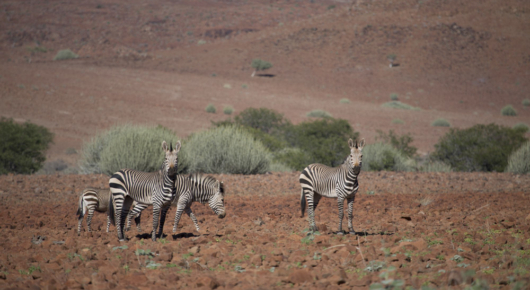 Namibia