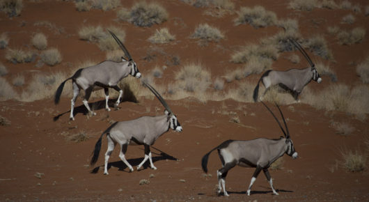Namibia