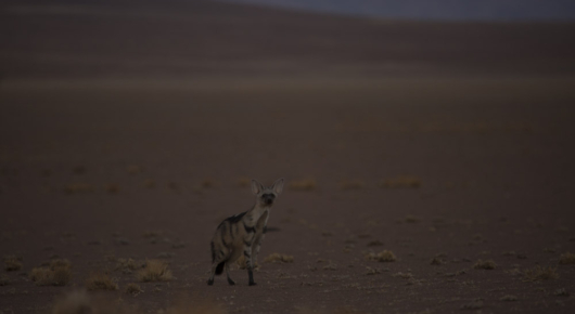 Namibia