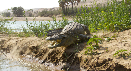Namibia