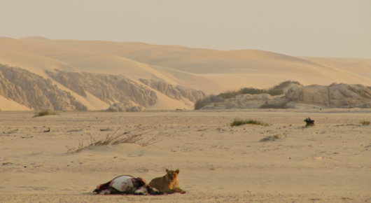 Namibia