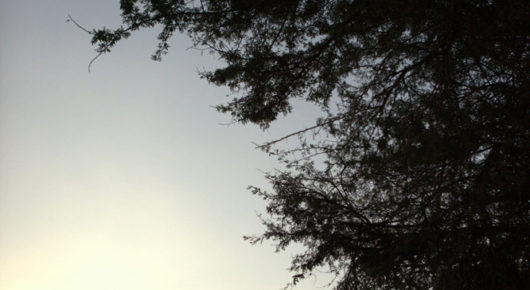 Pafuri Walking Trail