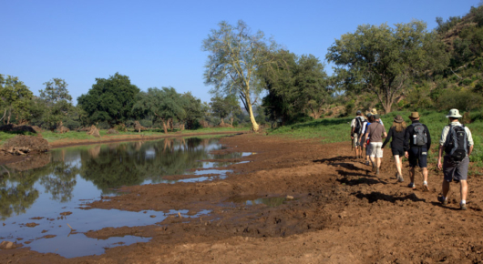 Pafuri Walking Trail