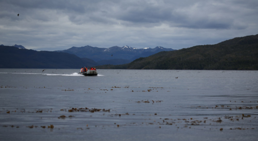 Patagonia