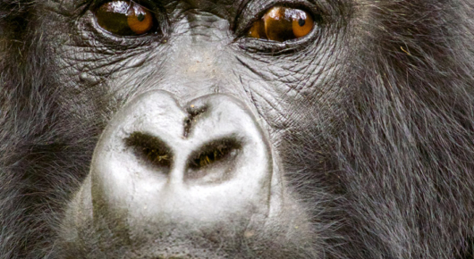 Rwanda