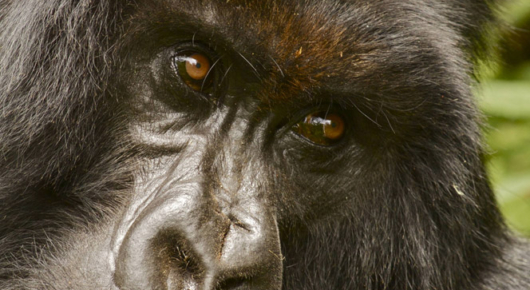 Rwanda
