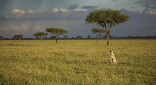 Tanzania