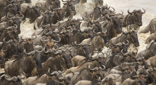 Tanzania