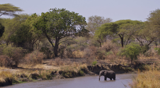 Tanzania