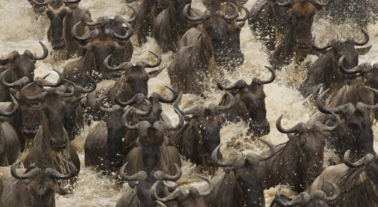 Tanzania