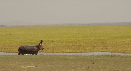 Tanzania
