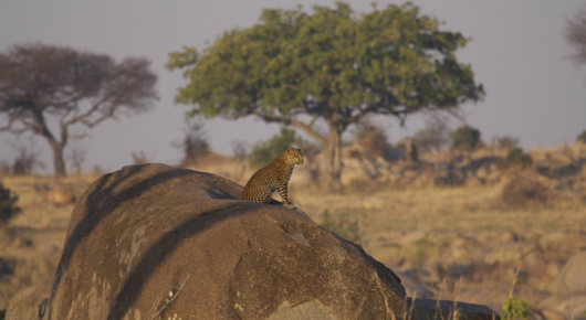 Tanzania