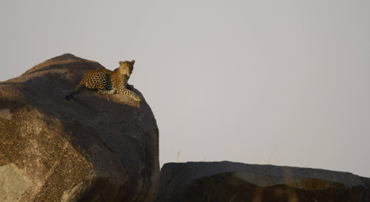 Tanzania