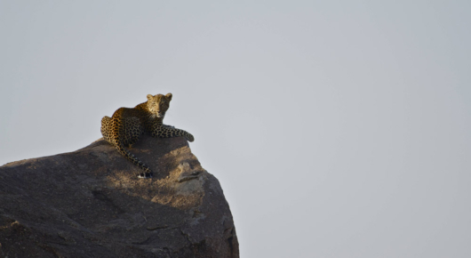Tanzania