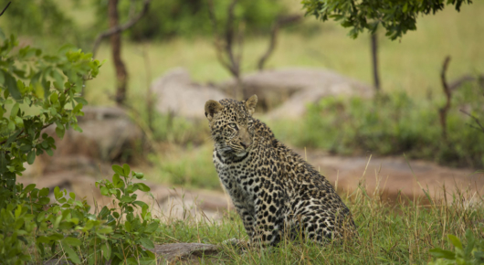 Tanzania