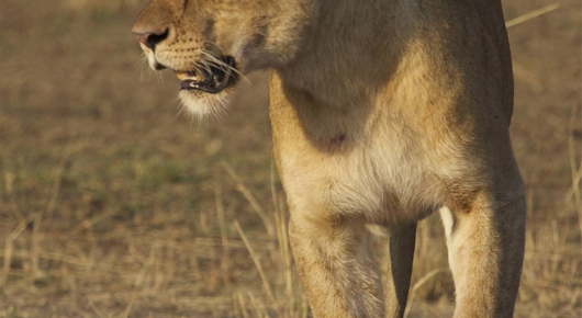Tanzania
