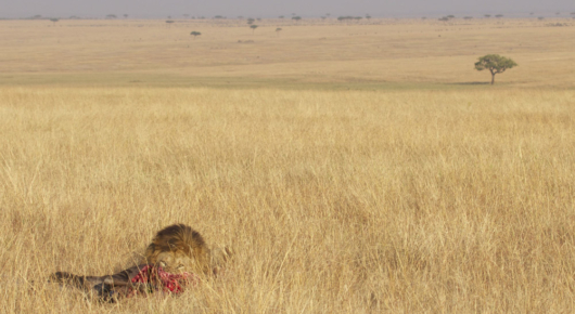 Tanzania