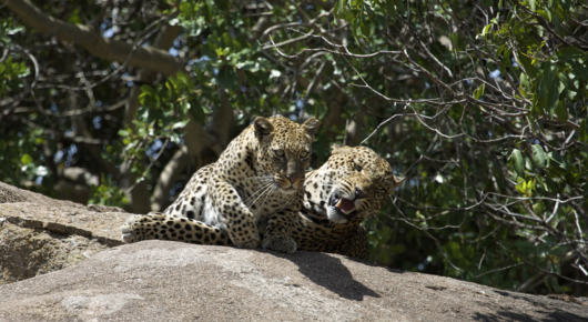 Tanzania