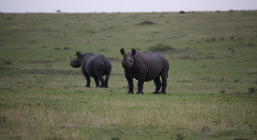 Tanzania