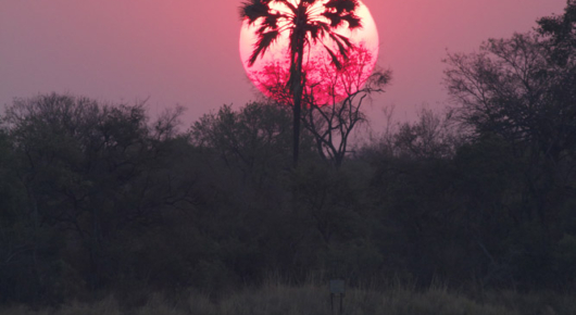 Zambia and Zimbabwe