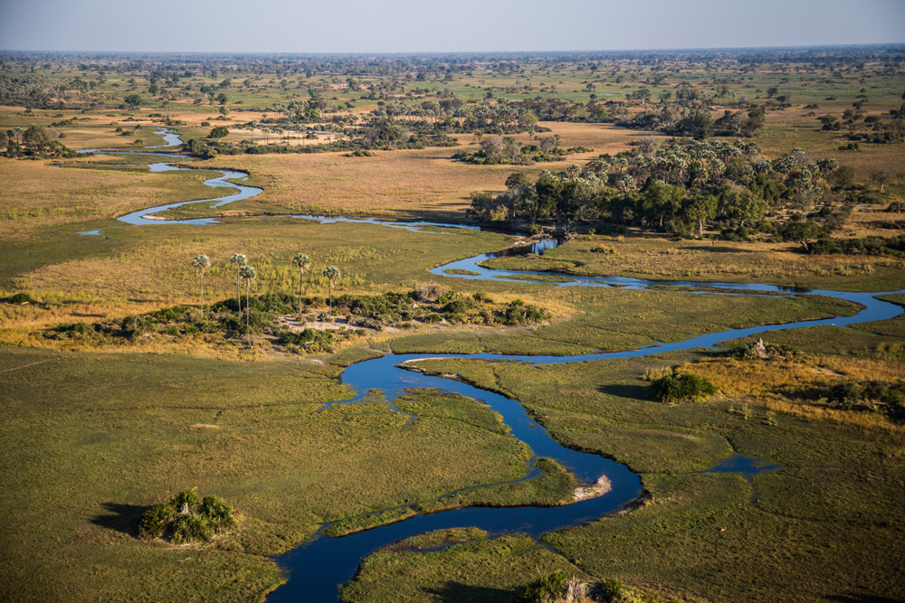 The waterways of the Okavango Delta from the air - Botswana
