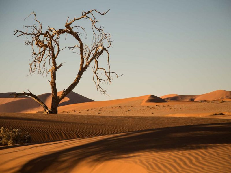Namibian dunes
