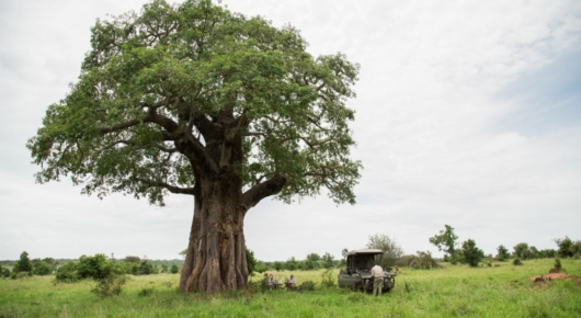 Lake Manyara and Southern Serengeti