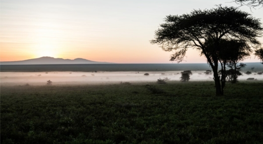 Lake Manyara and Southern Serengeti