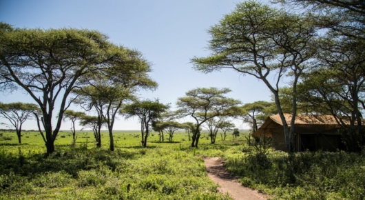 Lake Manyara and Southern Serengeti