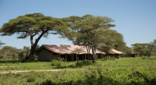 Lake Manyara and Southern Serengeti