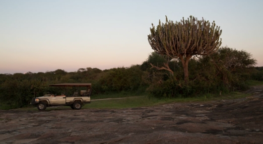 Lake Manyara and Southern Serengeti