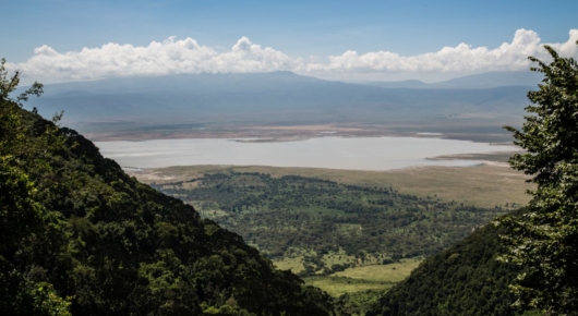 Tanzania and Kenya