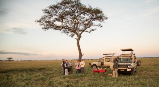 Tanzania and Kenya