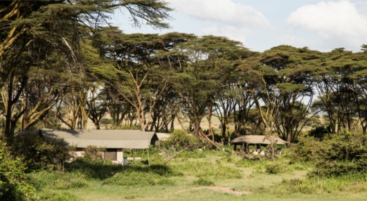 Tanzania and Kenya