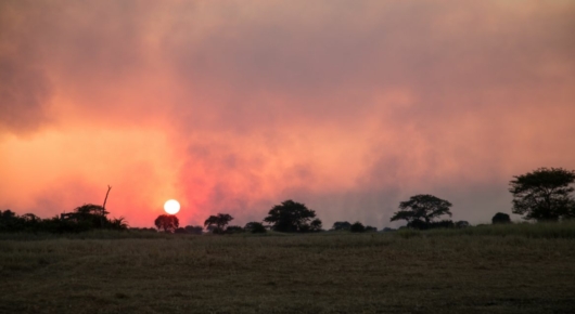 Zambia