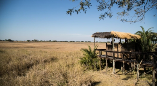 Zambia