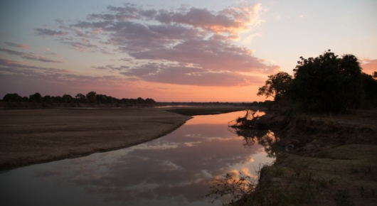 Zambia