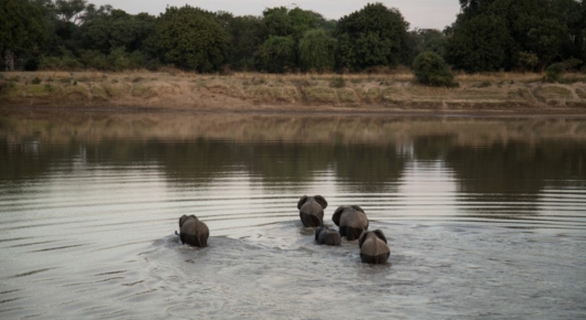 Zambia