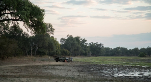 Zambia