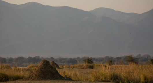 Mana Pools, Zimbabwe