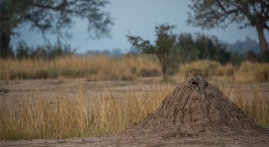 Mana Pools, Zimbabwe