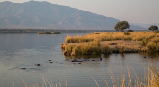 Mana Pools, Zimbabwe