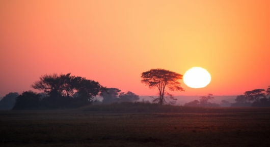 Zambia