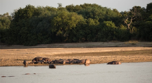 Zambia