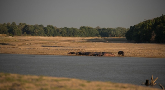 Zambia