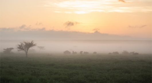 Lake Manyara and Southern Serengeti